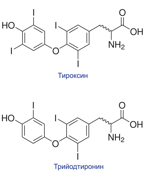 Тироксин функции гормона. Тироксин т4. Тироксин и трийодтиронин. Тироксин строение. Тироксин формула.