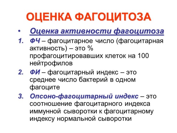 Средних лет и его журнал активности. Показатели фагоцитарной активности лейкоцитов норма. Методы оценки фагоцитарной активности лейкоцитов. Оценка активности фагоцитоза. Показатели оценки фагоцитоза.