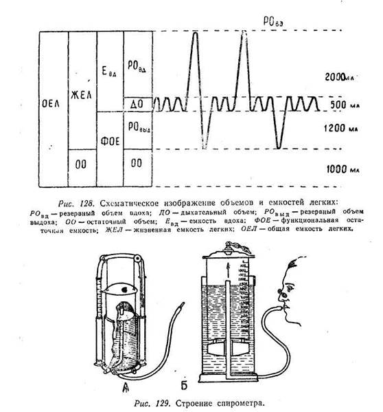 Структурная схема спирометра
