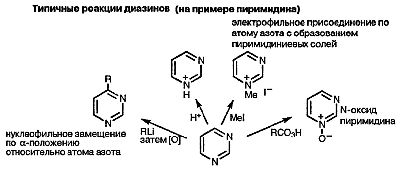 Пиримидин свойства