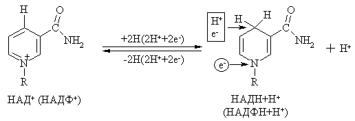 Надф н2