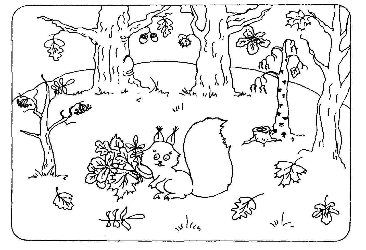Задания по теме лес для дошкольников