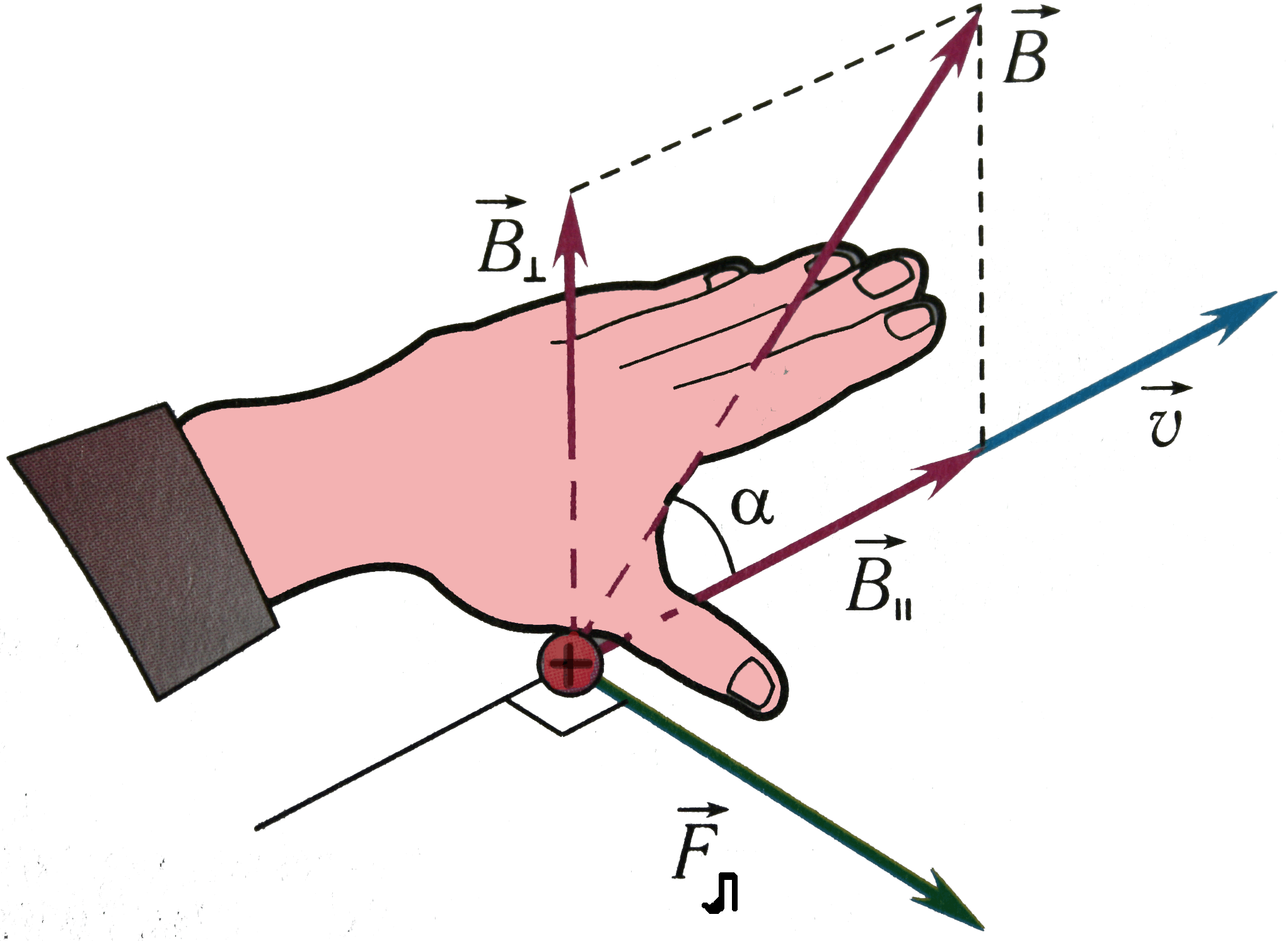 Простое правило руки. Правило левой и правой руки для силы Лоренца. Сила Лоренца правило левой руки. Направление силы Лоренца правило левой руки. Направление силы Лоренца определяется по правилу левой руки.