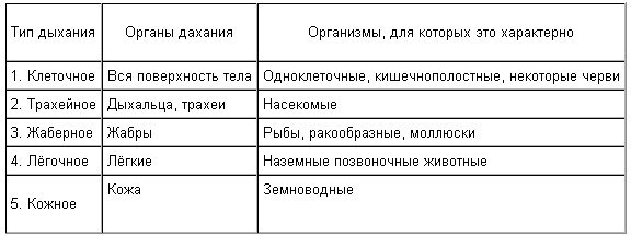 Опишите процесс дыхания у животных по следующему плану название процесса потребности организма