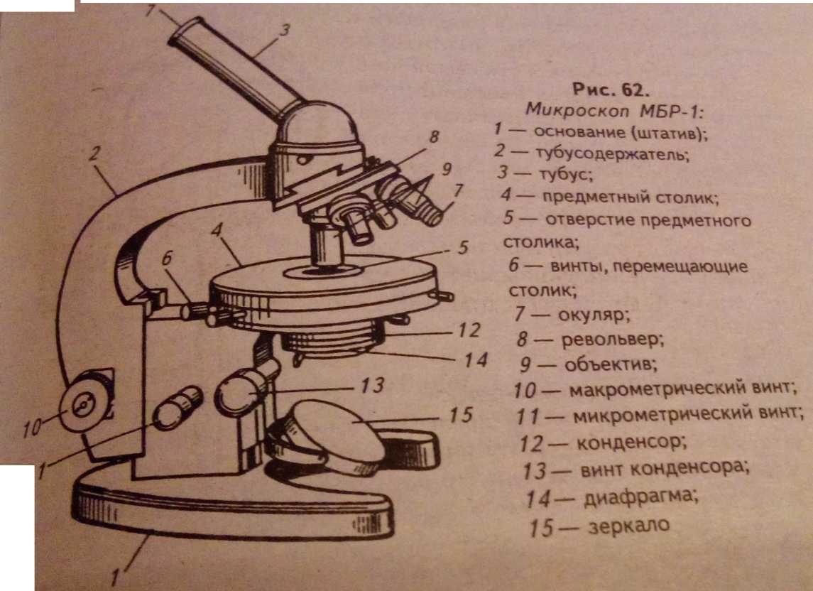 Какую часть выполняет тубус. Микроскоп МБР 1 строение. Схема микроскопа МБР 1. Микроскоп МБР-1 рисунок строение. Строение микроскопа Биолам -70.