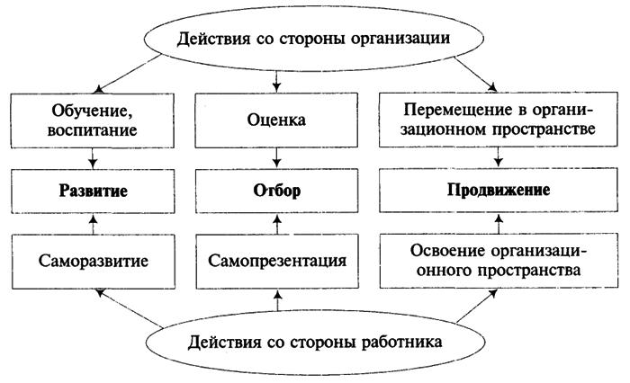 Организация сторон. Теория управления карьерой. Действия со стороны организации. Действия со стороны специалиста.