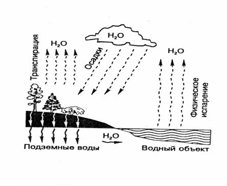 Этапы формирования воды в природе. Круговорот водорода в природе схема. Круговорот воды в биосфере схема. Схема основных этапов круговорота воды. Цикл воды в биосфере схема.