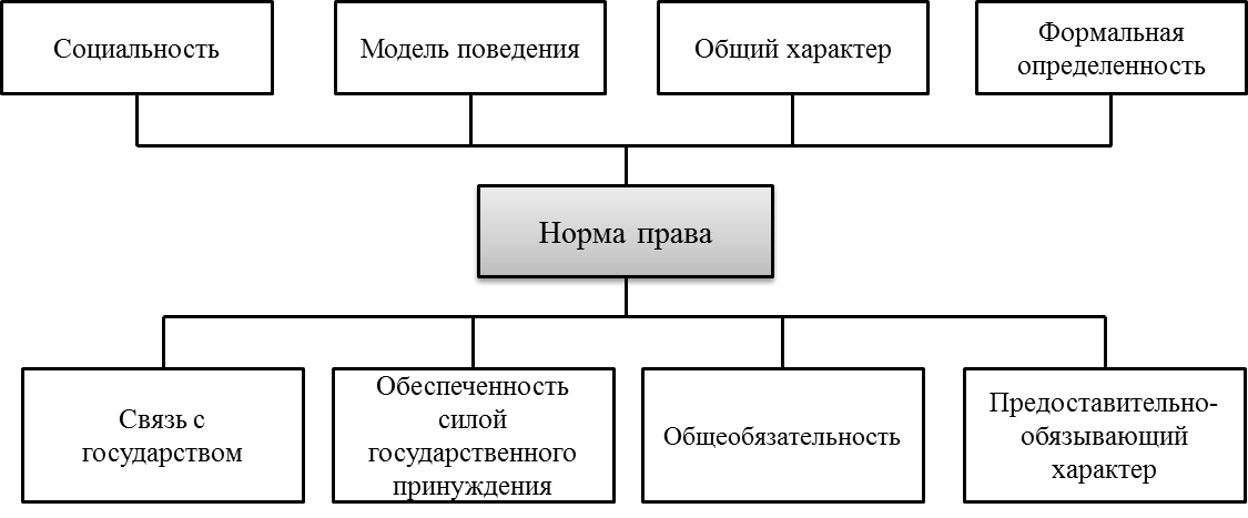 Виды норм права схема