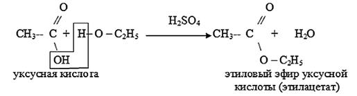 Реакция взаимодействия уксусной кислоты с этанолом. Получение этилового эфира уксусной кислоты из этанола. Эфир уксусной кислоты и этанола. Реакция образования уксусно - этилового эфира. Реакция образования уксусноэтилового эфира.