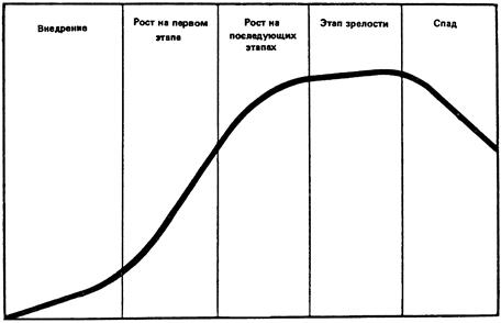 Этапы роста организации. Стадии жизненного цикла организации Зарождение рост зрелость. Стадия зрелости жизненного цикла товара. На стадии роста жизненного цикла товара. Этапы жизненного цикла товара.