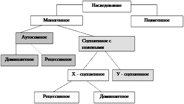 Типы моногенного наследования схема