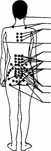 Мужские эрогенные зоны. Точки тела для возбуждения. Зоны женского тела. Возбуждающие точки на спине. Зоны на теле женщины.