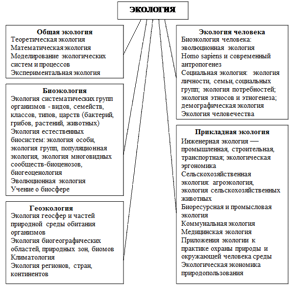 Структура современной экологии схема