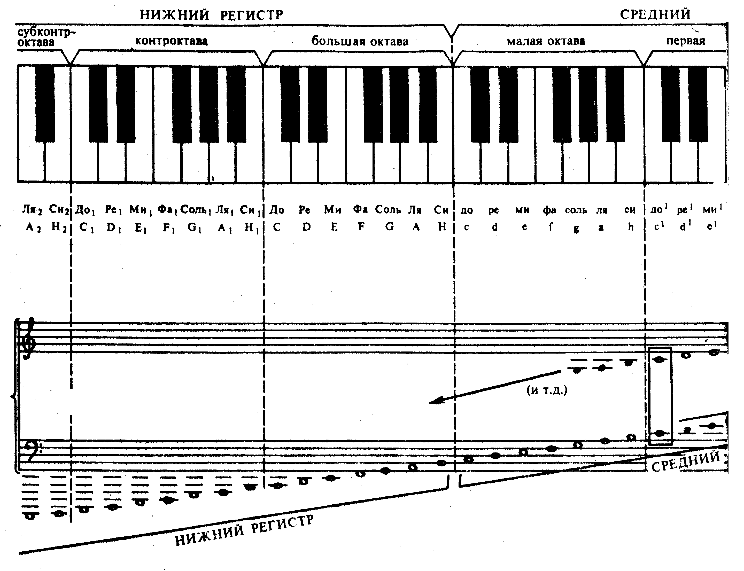 Обозначение октав. Клавиатура 2 Октава аккордеона. Басовый ключ для пианино 1 и 2 октавы. Знаки альтерации на нотном стане. Октавы и Ноты малая Октава.