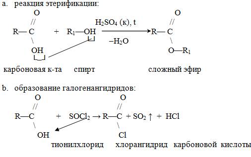 Реакции по карбоксильной группе. Названия галогенангидридов. Галогенангидриды. Тионилхлорид формула. Сульфоэфиры образование.