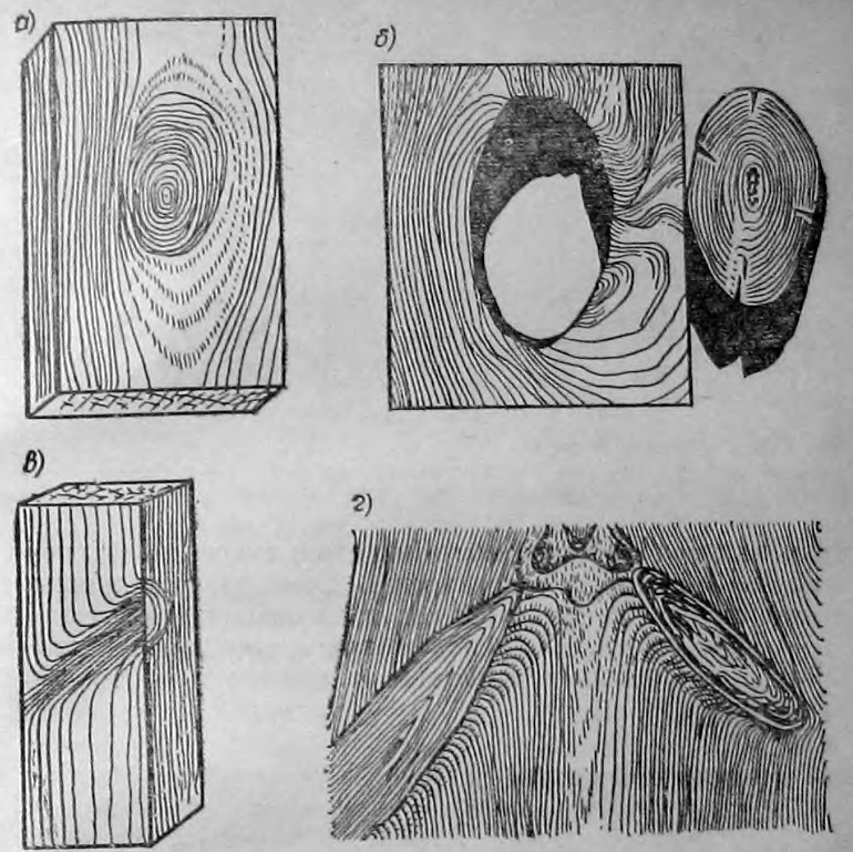 пороки древесины рисунки