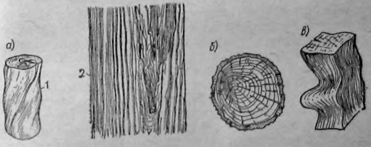 Как называется рисунок на поверхности древесины. Дефект древесины Крень. Строение волокон дерева. Пороки строения формы дерево. Крень древесины влияние на качество.