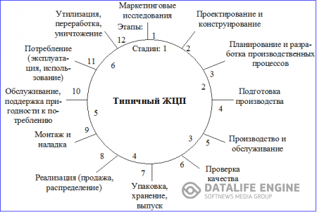 Петля качества схема цикла качества. Этапы ЖЦП. Система качества жизненной цикла продукции. Этапы жизненного цикла продукции.