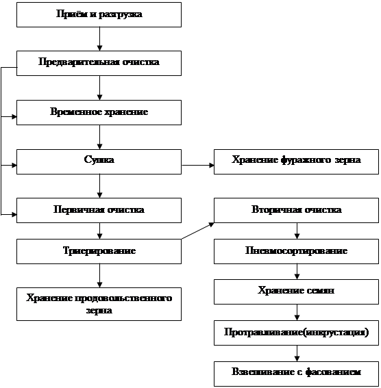 Основные этапы обработки яблок в порядке следования. Технологическая схема послеуборочной обработки зерна. Схема для послеуборочной обработки семян. Схема послеуборочной обработки зерна пшеницы. Схема технологического процесса обработки зерна.