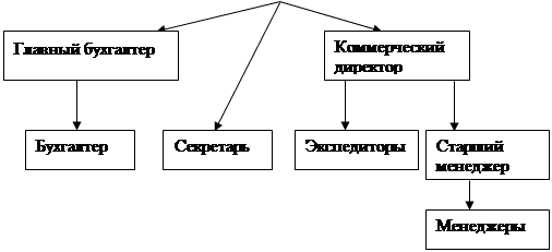 Ооо строймастер. 1.2 Организационная структура предприятия ООО «ТД Прогресс-авто». Организационная структура ООО «Строймастер». Рис. 1. организационная структура ООО «стиль-син». 7814091345 Организационная структура ООО Строймастер.