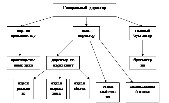 Организационно экономическая характеристика