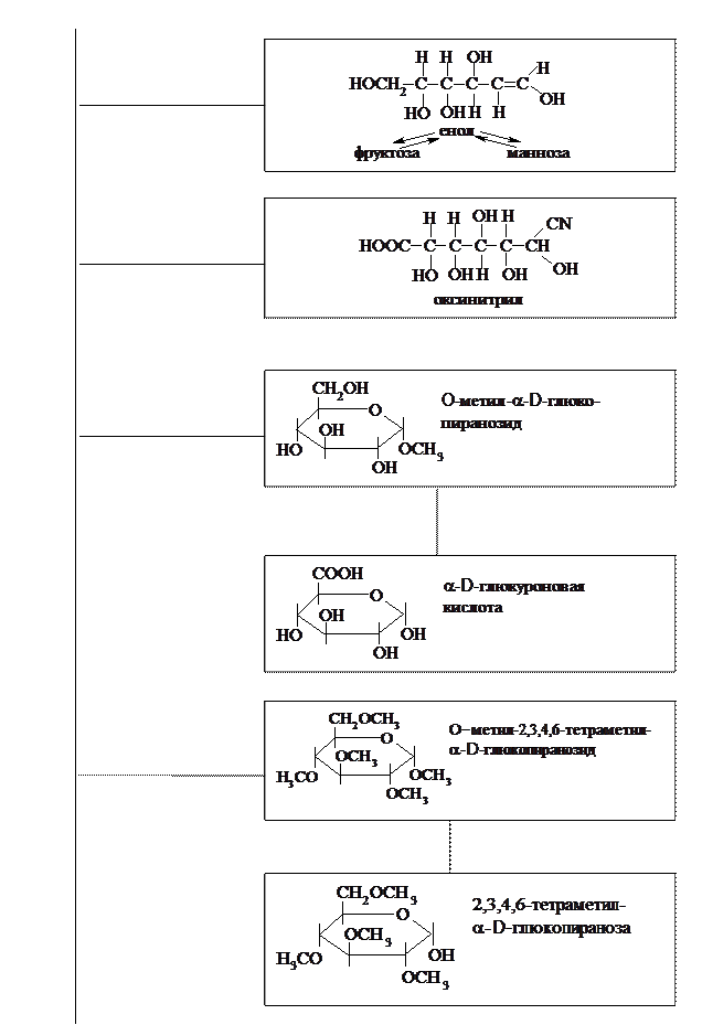 Ch3oh hcl. Глюкоза ch3oh. Глюкоза+ch3i уравнение. Д Глюкоза ch3oh HCL. Химические свойства Глюкозы по гидроксильной группе.