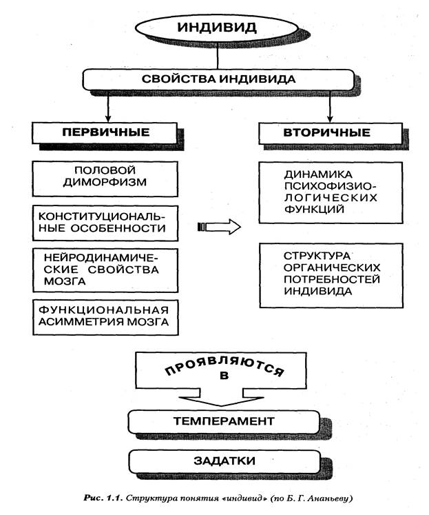 Индивид индивидуальность личность схема.