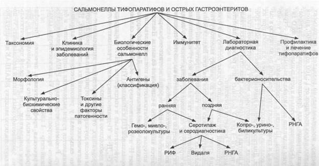 Схема лечения гастроэнтерита