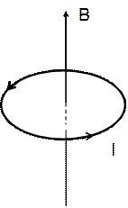На рисунке показано положение кругового контура с током помещенного в однородное магнитное поле