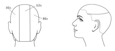 Зона затылка. Зоны волосяного Покрова головы схема. Основные зоны деления волосяного Покрова головы. Зоны и проборы головы для парикмахеров. Схема теменная зона головы.
