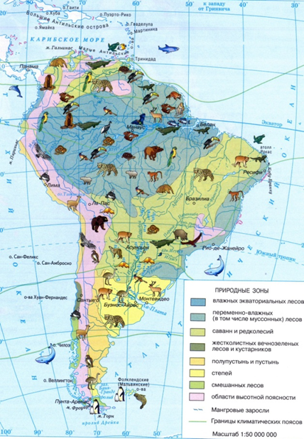 Выберите природные зоны южной америки. Карта природных зон Южной Америки. Карта природных зон Южной Америки 7 класс. Природные зоны Латинской Америки. Карта природные зоны Южной Америки карта.