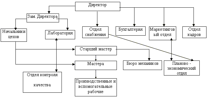 Реферат: Организационная структура фирмы