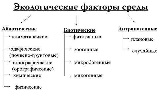 К природным факторам относятся