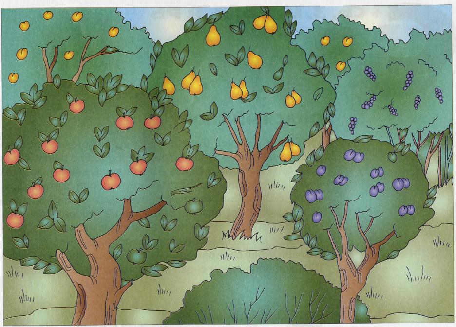 Картинка сад для детей. Сад с фруктовыми деревьями для детей. Фруктовый сад иллюстрация. Фруктовый сад рисунок для детей. Сад картинка для детей.