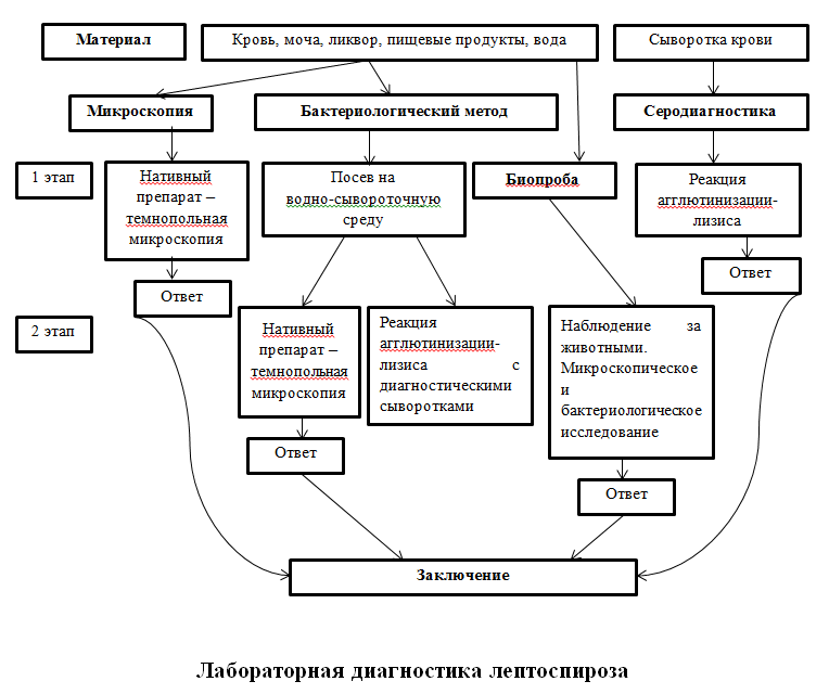 Схема лабораторной диагностики