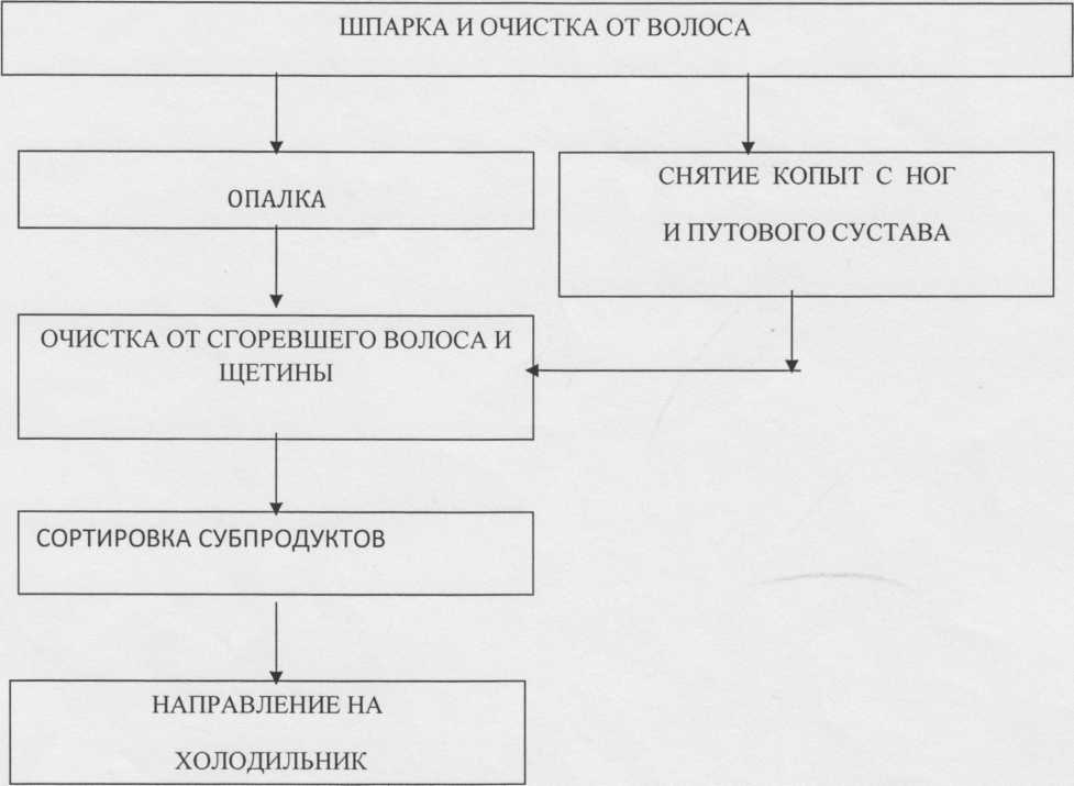 Дополните схему технологических операций полуфабриката печень жаренная обработанную печень