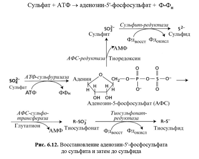 Схема восстановления серы