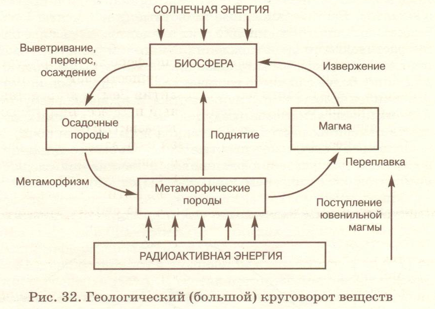 Кальций в биосфере. Большой геологический круговорот веществ. Большой геологический круговорот веществ в биосфере. Схема большого геологического круговорота веществ. Схема большого геологического круговорота веществ в природе.