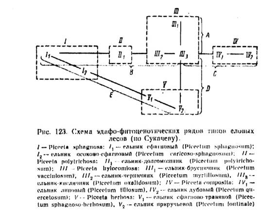 Эдафо фитоценотическая схема сукачева