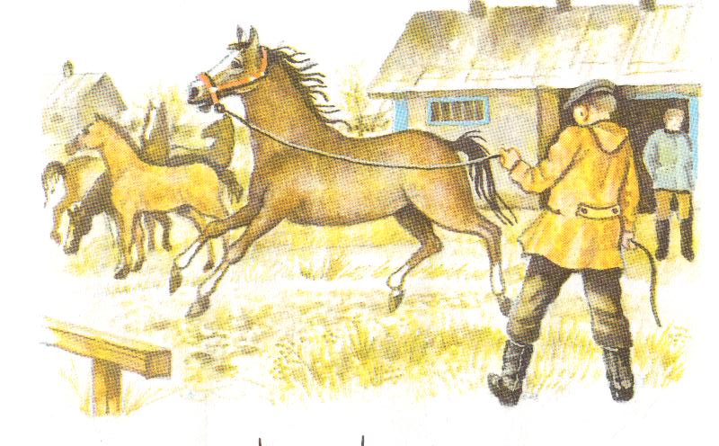 Профессия конюх. Конюх для детей. Конюх рисунок. Конюх рисунок для детей. Картинка конюх для дошкольников.