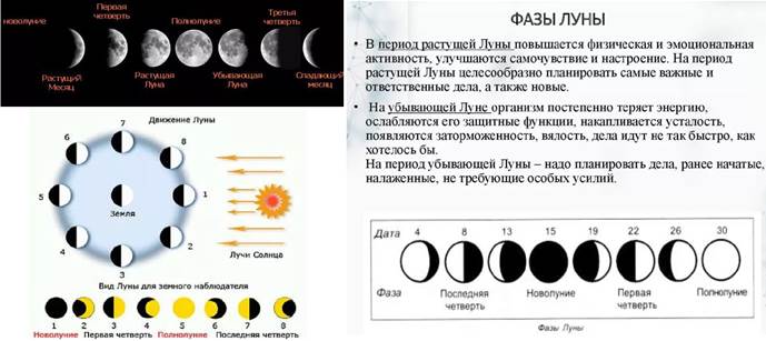 Схема луны в течение месяца. Фазы Луны. Виды Луны и названия фазы. Название лунных фаз. Таблица лунных фаз.
