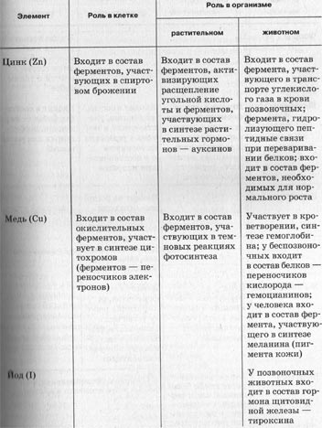 Вещества клетки строение функции. Химические соединения клетки таблица биология. Химический состав клетки 9 класс биология таблица. Неорганические вещества клетки таблица 9 класс биология. Неорганические вещества клетки таблица 9 класс.