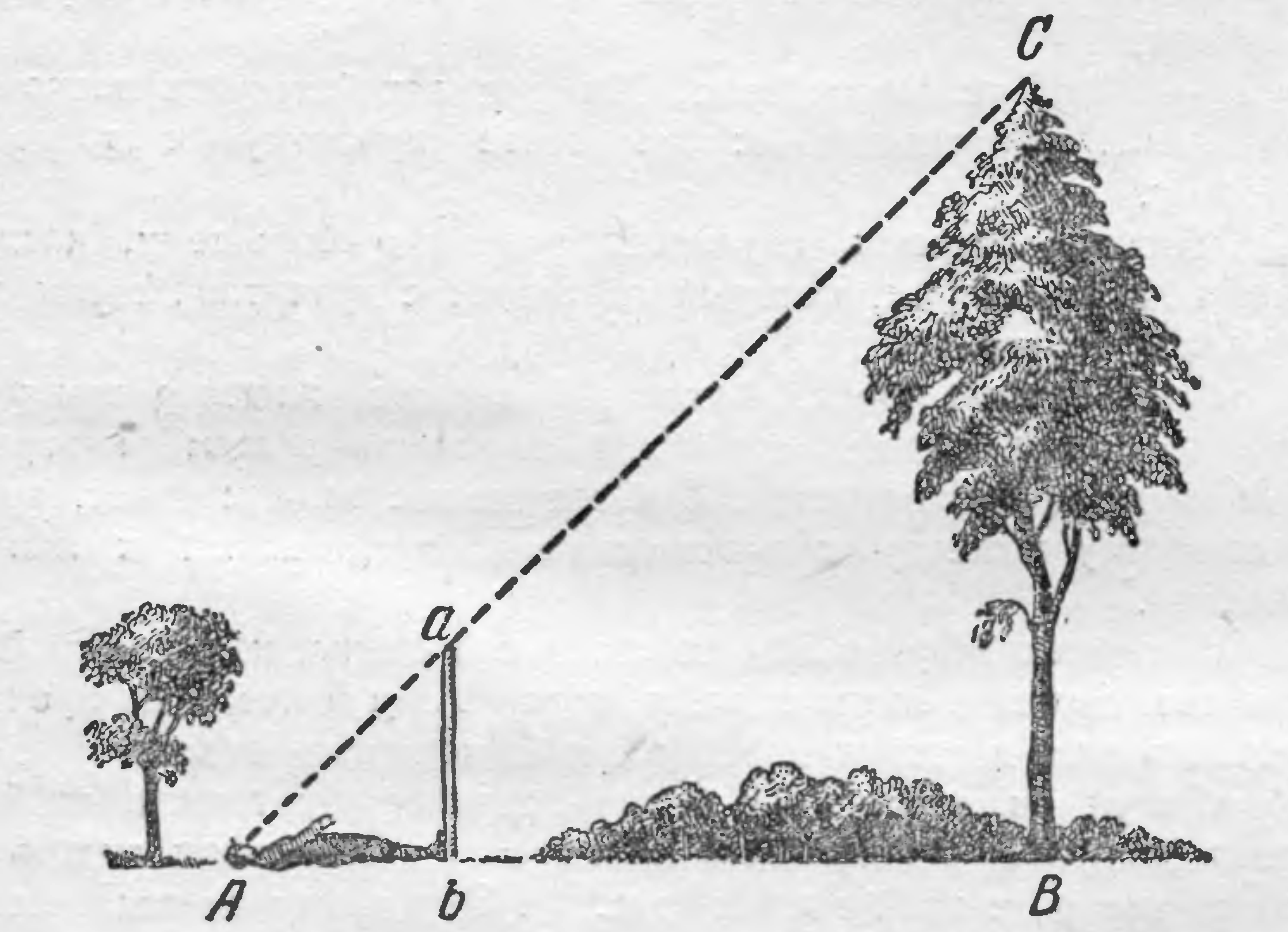 Тень земли высота. Метод Жюль верна для измерения высоты. Способы измерения высоты дерева. Измерение высоты предмета с помощью тени. Прибор для измерения высоты дерева.