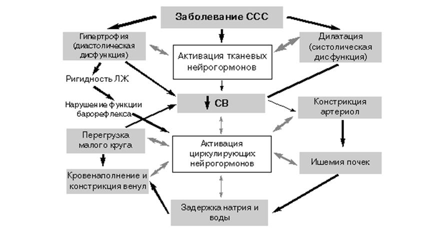 Патогенез хсн схема