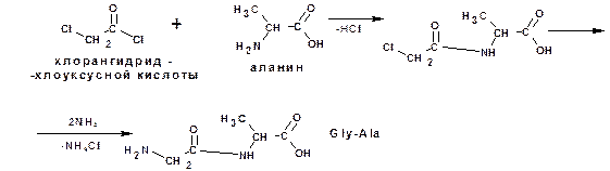 Концевые аминокислоты. Аланилглицилвалин. N концевая аминокислота. Определить концевую аминокислоты. N И C концевые аминокислоты.