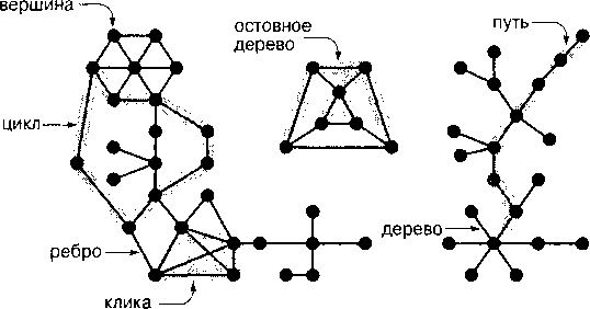 В дереве 4 вершины сколько. Can Vertex be connected graph.
