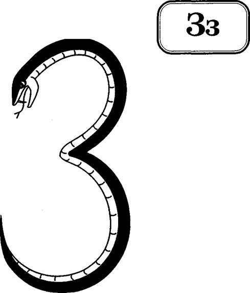 Змейка цифр. Буква з. Буква з рисунок. Змея в виде буквы з. Цифра 3 в виде змеи.