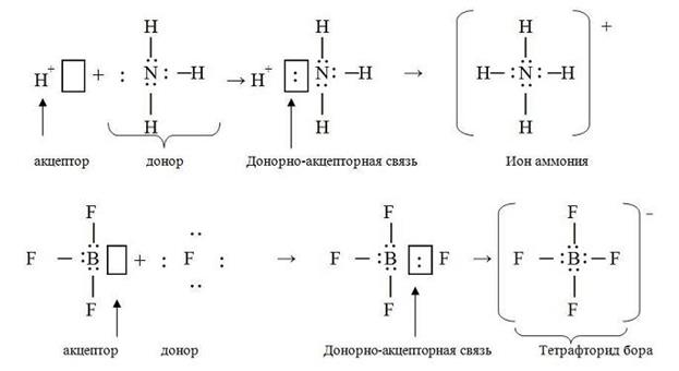 Молекулы доноры. Донор и акцептор. Доноры и акцепторы электронов. Bf3 схема образования молекул. Донор и акцептор в комплексных соединениях.