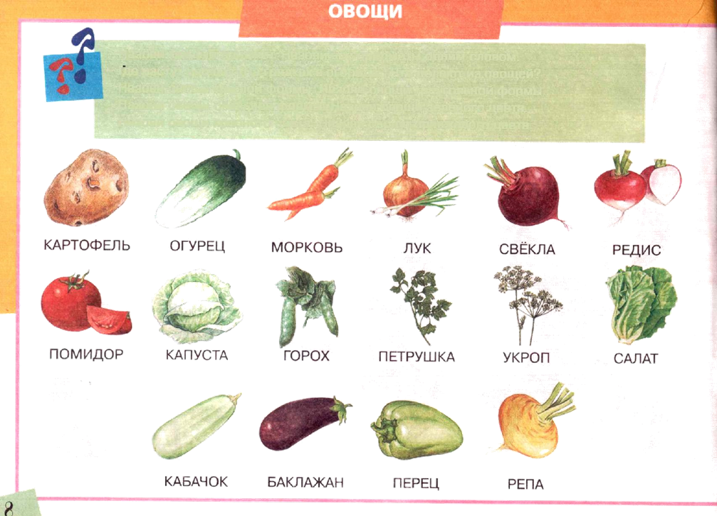 Обобщающие понятия овощи. Назови овощ по всем признакам. Бордовый овощ треугольной формы.