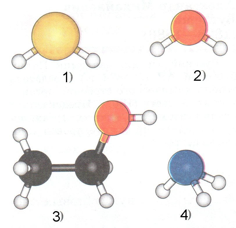 Модели молекул отражают характерные особенности реальных объектов. Шаростержневая модель молекулы c2h6. Изобразите шаростержневую модель молекулы бутена 2. Шаростержневая модель Пентин-2. Шаростержневая модель молекулы Пентин 1.